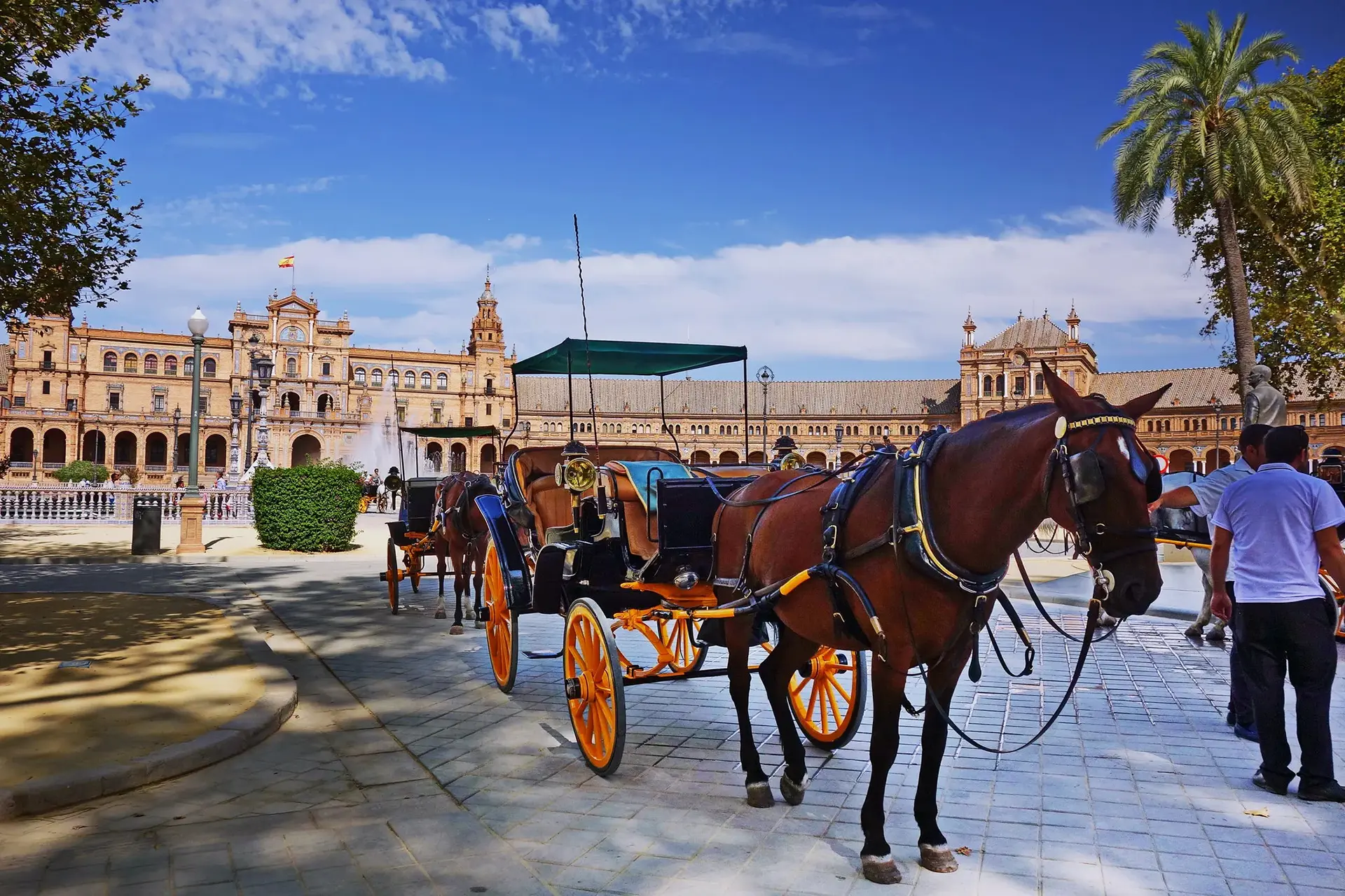 The Spanish Horse